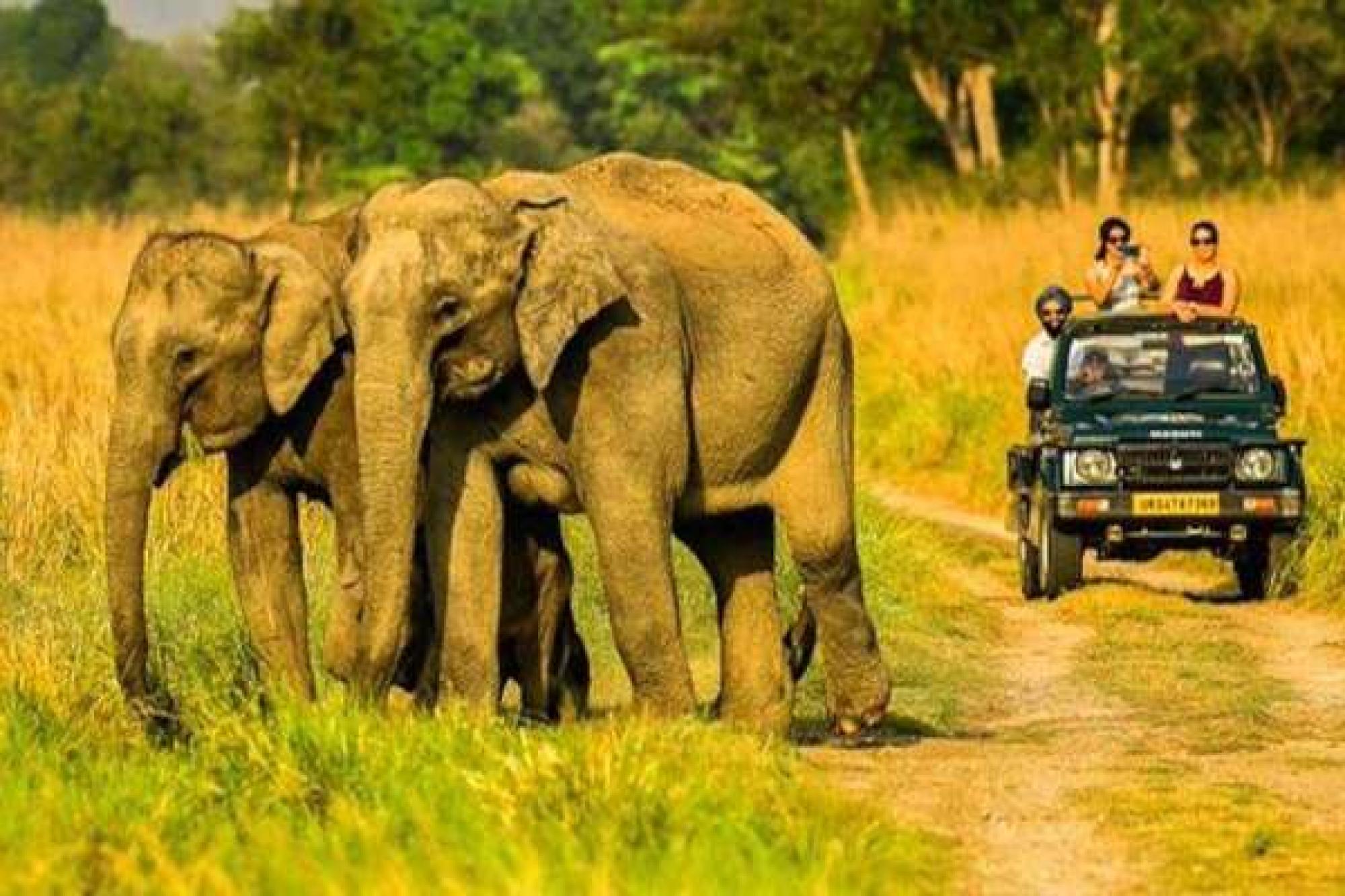 2 Days Delhi Jim Corbett Tour